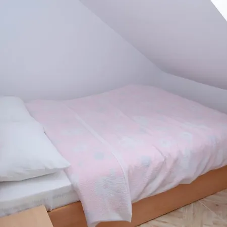 Mansarda Mica Cu Baie Proprie Apartment Cluj-Napoca