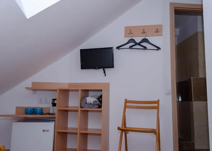 Apartament Mansarda Mica Cu Baie Proprie *