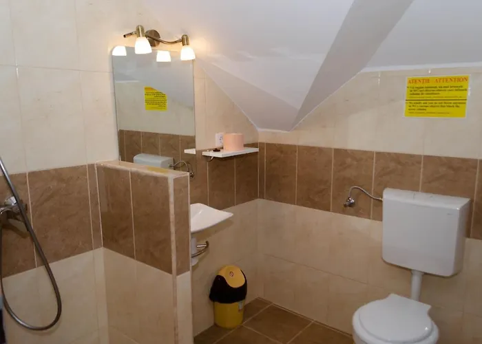 Mansarda Mica Cu Baie Proprie Apartament